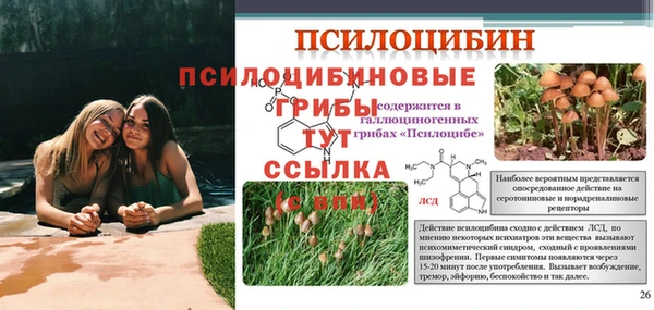 трава Баксан