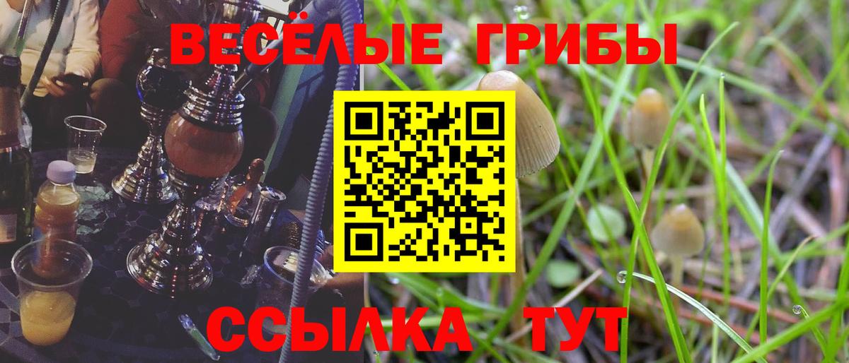 Псилоцибиновые грибы прущие грибы Великие Луки