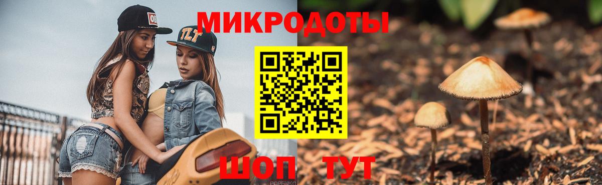 сколько стоит  Галлюциногенные грибы мицелий  Галлюциногенные грибы прущие грибы  Вход с VPN  Великие Луки 
